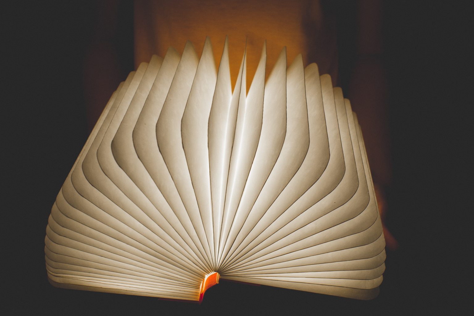 Getting started on Storiad and maximizing the tools to sell more books!
